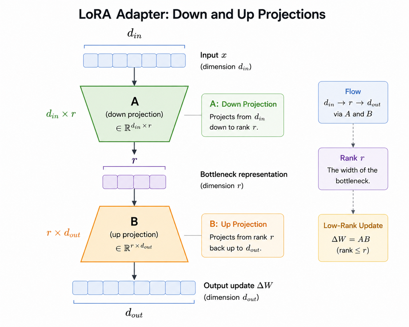 The LoRA projections: A maps the input dimension down to the rank-r bottleneck, and B maps back up to d_out.